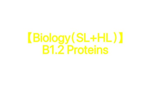 【Biology（SL HL）】B1.2 Proteins