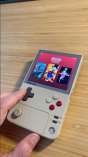 Ayaneo Pocket DMG with EmulationStation