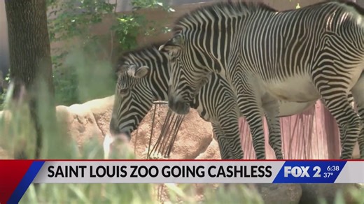 St. Louis Zoo goes cashless in 2026