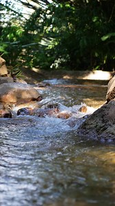 Stop what you're doing and enjoy a few seconds of serenity at Discovery Cove 😌 | Discovery Cove