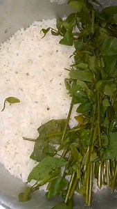 74K views · 332 reactions | Alubu trum trum laona metleye machagi ☺||...