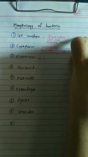 Morphology of bacteria | Inside the bacterial cell