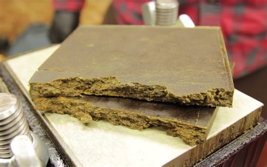 How to make dry sift hash: a solventless masterclass