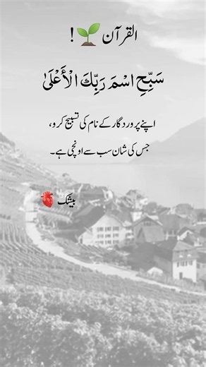 🌿 Glorify the Name of Your Most High Lord ❤️ | Surah Al-A'la 87:1 | Beautiful Quran Verse #Shorts