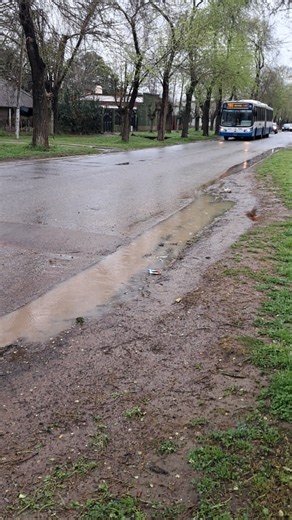 Linea 388 interno:5569 por domselaar