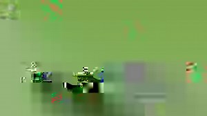 Friday Feather Fact: The whistling call of the Northern Bobwhite is a familiar sound in fields and forests of the eastern U.S. These birds are easily heard from a long distance, but often hard to spot. The species has undergone a significant decline in recent decades as a result of habitat disturbances, but coalitions of agriculture, wildlife, and forestry organizations are joining forces to help restore populations of Northern Bobwhite. Visit this iconic native species in the North America avia