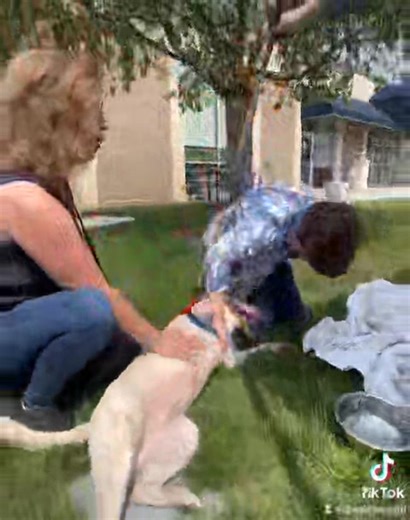 2K views · 148 reactions | Look how great Chunk & Vanilla did at the...