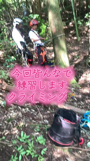 今回皆んなでポジション安定させる練習しました。 クライミング #林業 #ツリークライミング#特殊伐採