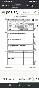Prepare a Debtors Collection Schedule for November 2017.The p... | Filo