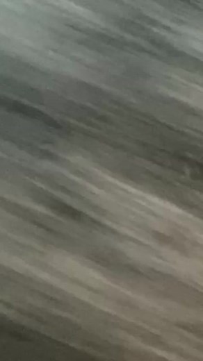 Largest #afro 👑 24 cm (9.45 in) tall, 25 cm (9.84 in) wide, 157 cm (5.15 ft) in circumference - @aevindugas 🇺🇸 #naturalhair #hair