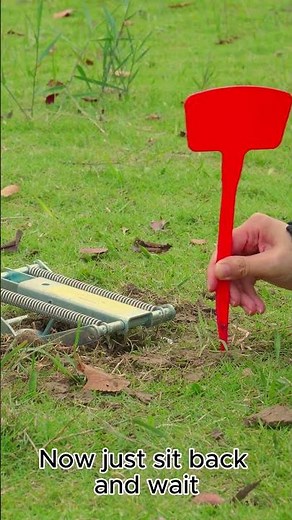 Super Easy Mole Trap That Actually Works #polaflex #moletrap #pestcontrol #lawncare