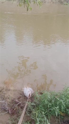 Fishing Tips and Tricks for Beginners