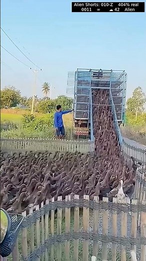 Portable fence load ducks to the container
