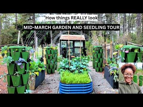 Here is what gardening looks like in Mid-March