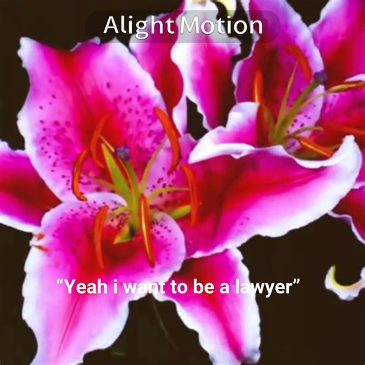 Inside the Life of an F1 Engineer