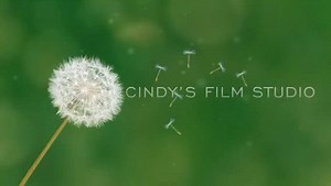 CindysBathCreations - Etsy