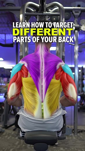 Are you doing cable rows? Then you should learn to target different parts of your back. If you pull towards your chest, your elbows will naturally flare out, targeting more of your rear delts and traps. If you pull towards your belly button, your elbows will stay close to your body, targeting more of your lats. Visit the link in my bio for a full training and diet plan! #cablerows #seatedcablerow #cablerow #seatedcablerows #workouttips