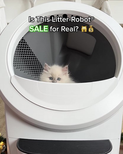 Treat yourself and your cat to a cleaner home—up to $150 off bundles! 😻 | Litter-Robot by Whisker