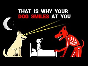 If Your Dog Start Smiling At You… LOCK THE DOOR - Analog Horror