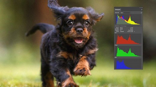 How to Read Photoshop Histograms for Beginners - PSD Vault