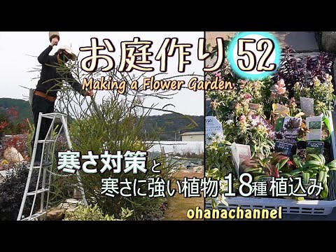 [Gardening 52] Cold weather measures, mulching, snow protection, planting 18 types of cold-resist...