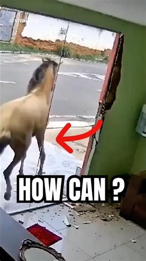 Why Tempered Glass Breaks Differently