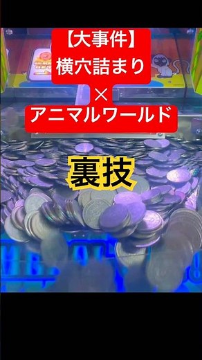 伝説の抜きゲーアニマルワールドの横穴詰まりの大事件発生！プラス30000枚超えの神回！