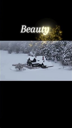 “Snowfall & Silence — A Lonely Heart’s Weather”#nature#snowyrain#fyp