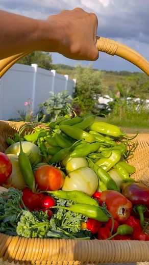 2K views · 10K reactions | #raisedgardenbed #raisedbed #raisedbedgarden #backyardgarden #foodgarden #growwhatyoueat #gardendesign #homegrown #vegetablegarden #urbangarden #growfood #organicgarden #gardening #kitchengarden #veggiegarden #urbanfarm | Raised bed guide | Facebook