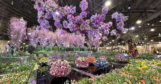 Pennsylvania Convention Center bursts with colorful flowers as Philadelphia Flower Show kicks off