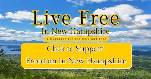 Live Free in New Hampshire Issue #1 by Stephen Nass - Indiegogo