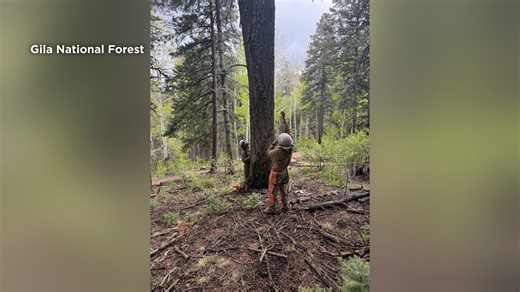 'Hummingbird Fire' reaches 21% containment, evacuations downgraded