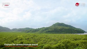 228K views · 705 reactions | Enter the enchanting world of Okinawa!...