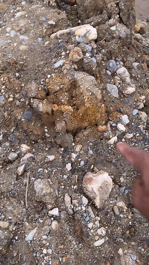 52K views · 876 reactions | Gold bones, gold veins, gold paths, gold Gold nuggets,!!! locations, gold rivers, places to find gold, people looking for gold, gold mines, gold dust, gold pempeng, rusty gold, gold land, yes this is it, see the journey to the gold river | Amrin Prospecting | Facebook