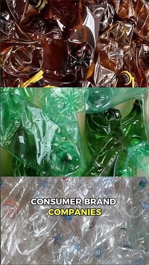 Solving The Problem Of Plastic Pollution With Judith Enck