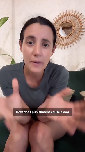 22K views · 43 reactions | Punishment can potentially cause dogs to...
