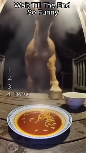 Wait Till The End | #shrots #animals #funny #funnyanimals #cute