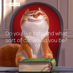 4.6K views · 137 reactions | Sky TV’s Original film The Amazing Maurice Film is here!  To celebrate the release today, find out what the cast told us their purrsonality would be if they were a cat! | Cats Protection | Facebook