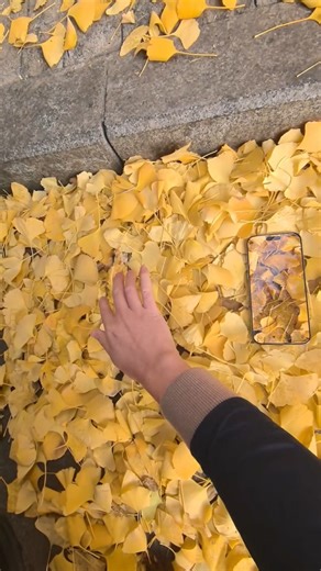 iPhone vs Android Camera Quality Test #shorts