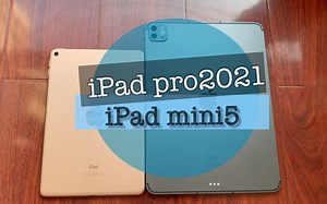 pro还是mini ？性能如何，大小对比 fei专业测评，拍完就去把mini卖了