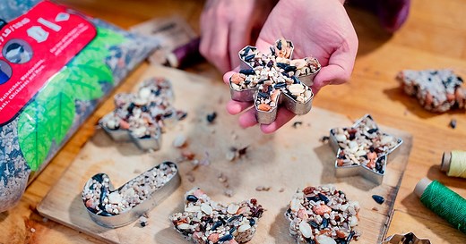 DIY: Outdoor Holiday Decorations That Double as Delectable Treats for Birds