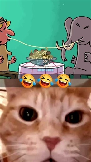 The Tooth 😂😂 | #funny #darkmemes #cartoon #memes #viral #humor #animation