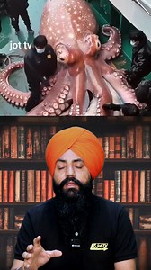206K views · 2.4K reactions | The Genius of Octopuses: Mind-Blowing Facts About Their Intelligence 易#OctopusIntelligence | JoT Tv Australia | Facebook