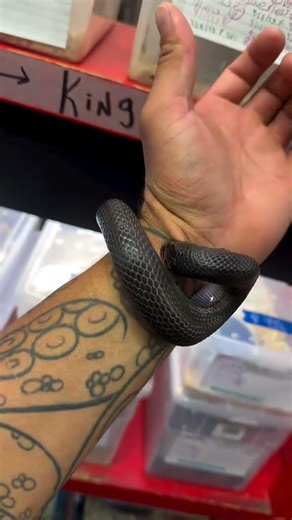 I don't know how he is absolutely doing that