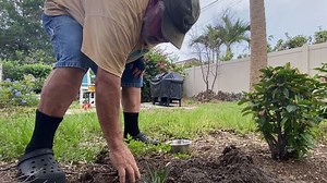 Research shows peer coaching effective intervention