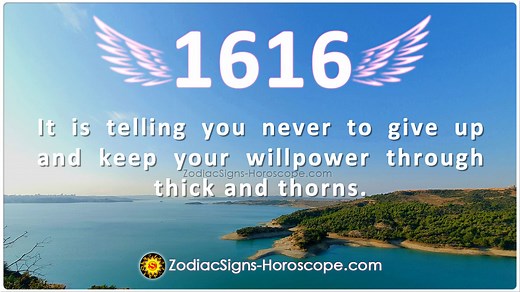 天使编号 1616：我们生活中的重要性和代表性 - ZSH