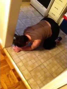 My dog doesn't want to eat his food !