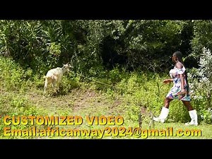 A LADY SLAUGHTERING GOAT FOR FOOD IN WHITE BOOTS