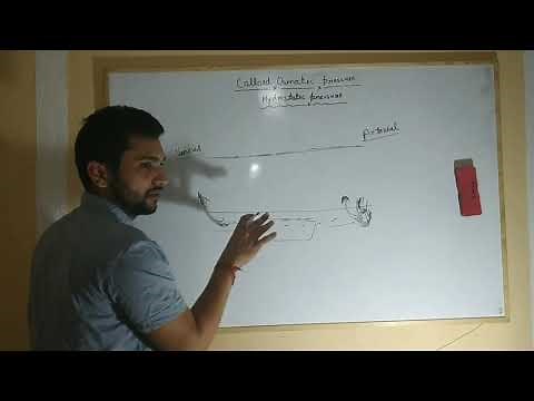 Colloid osmotic pressure and hydrostatic pressure