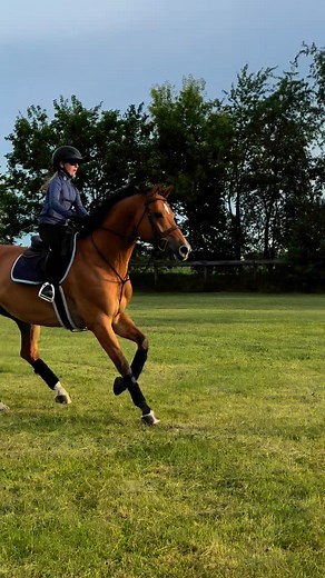 Kirsten Crawford on Instagram: "Way back Wednesday to the grass field for the first time. Buddy over did as usual over a tiny jump. With his signature kick out and squeal. Emma just adores him so much. She is looking forward to some fun performances on the grass with Buddy later this summer you will have to wait and see where we are going🤫. Featured partner: @e1_equestrian @ahleriequineproducts #ekcequestrian #pony #horse #passion #happykid #love #goals #showjumping #showjumper #showjumpinglife